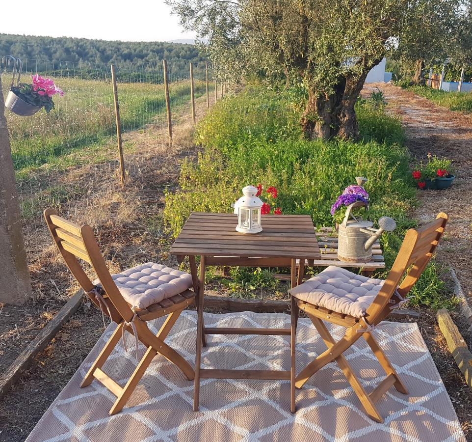 Casa Hnobre Apartment Santarém Екстериор снимка