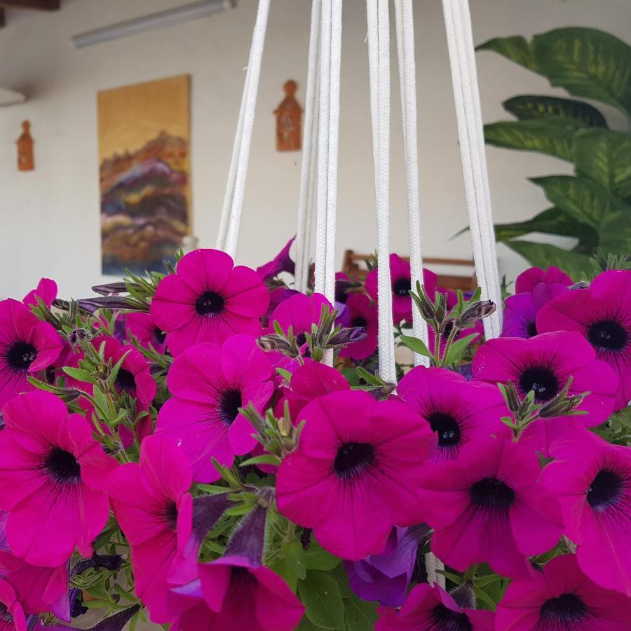 Casa Hnobre Apartment Santarém Екстериор снимка